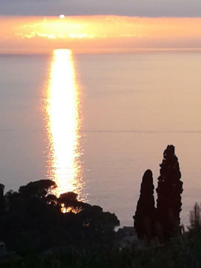 La Depandance Della Nonna Apartamento Camogli Exterior foto