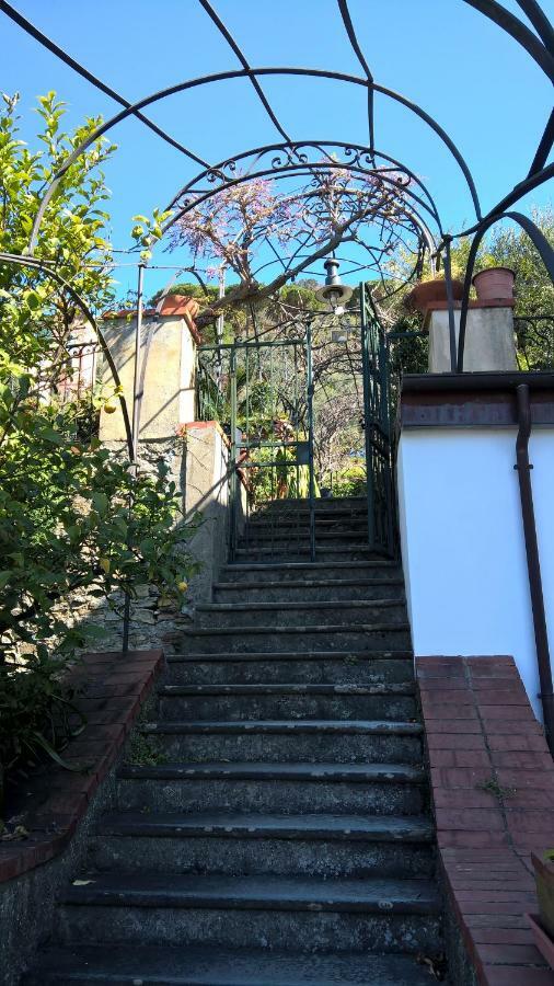 La Depandance Della Nonna Apartamento Camogli Exterior foto